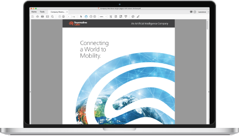Driving Behviors Infographic